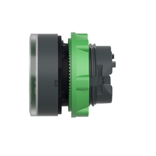 Flush Illuminated Plastic Push Button Head ZB5AW333